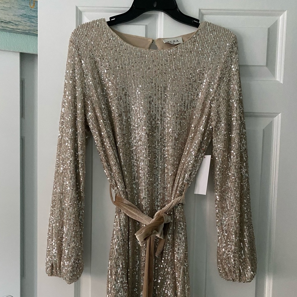 Champagne sparkly dress, with velour tie. Purchased from Red Dress Boutique